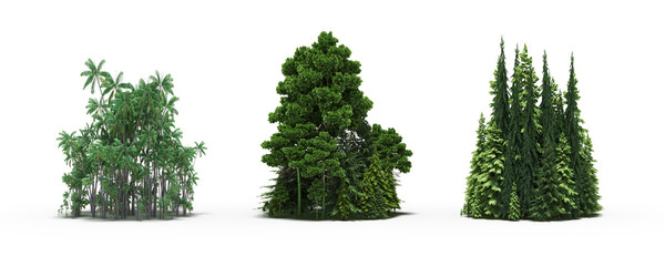 group of trees with a shadow on the ground, isolated on a white background, trees in the forest, 3D illustration, cg render