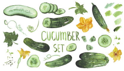 Cucumbers big set watercolor illustration isolated on white background