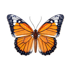 African monarch butterfly -  Danaus chrysippus. Transparent PNG. Generative AI