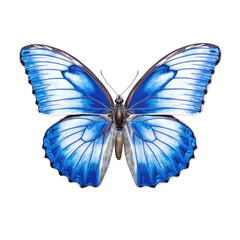 Common blue butterfly -  Polyommatus icarus. Transparent PNG. Generative AI