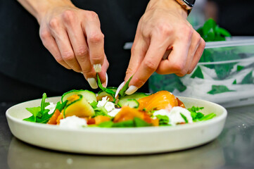chef hand decorated smoked salmon salad with cucumbers, cream cheese, arugula