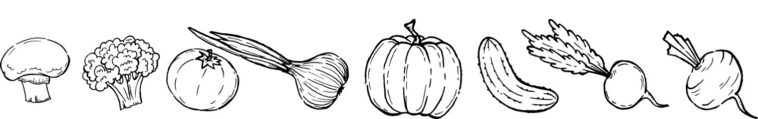 Vegetables Vector hand drawn Set. Monochrome Doodle styled collection of Mushroom, Onion, Pumpkin, Tomato, Cucumber, Radish.