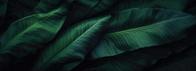 abstract green texture, nature background, tropical leaf