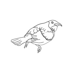 Bird outline vector for coloring book and tattoo design. Bird line art. Bird vector illustration. Bird outline. Bird line art. Hand drawn bird.