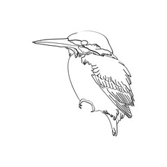 Fototapeta premium Bird outline vector for coloring book and tattoo design. Bird line art. Bird vector illustration. Bird outline. Bird line art. Hand drawn bird.
