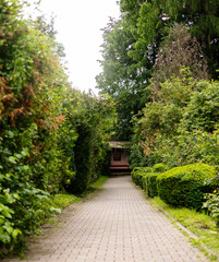 path in the garden