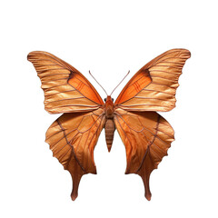 Orange oakleaf butterfly -  Kallima inachus. Transparent PNG. Generative AI