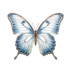 Plakat Pale blue nawab butterfly - Polyura schreiber. Transparent PNG. Generative AI
