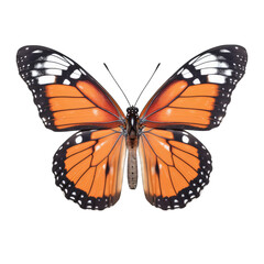 Plain tiger butterfly -  Danaus chrysippus. Transparent PNG. Generative AI