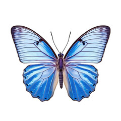 Pea-blue butterfly -  Lampides boeticus. Transparent PNG. Generative AI