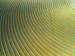 Aerial view of harvester lines and patterns in a rural paddock