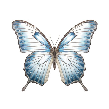 Pale blue nawab butterfly -  Polyura schreiber. Transparent PNG. Generative AI