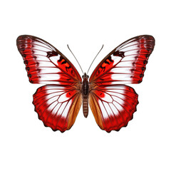 Western white butterfly -  Pontia occidentalis. Transparent PNG. Generative AI