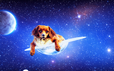 Obraz na płótnie Canvas Dog floating in galaxy space