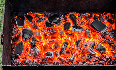 Charcoal for barbecue. Element to light the fire and have glowing embers.