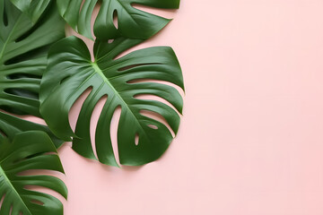 Contemporary minimalist flat lays background with copyspace and strewn Monstera leaves positioned towards the left.
