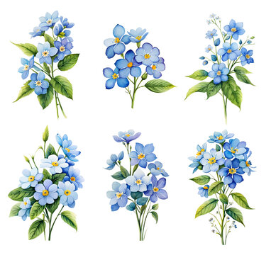 Watercolor forget-me-not flower set. Generative Ai