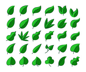 Green Leaf Vector Collection