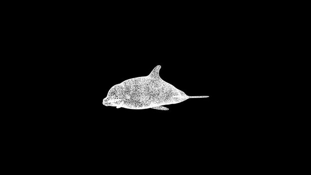 3D dolphin rotates on black background. Object made of shimmering particles. Wild animals concept. Protection of the environment. For title, text, presentation. 3d animation 60 FPS