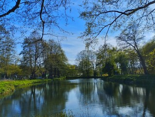 Obraz premium lake in the park