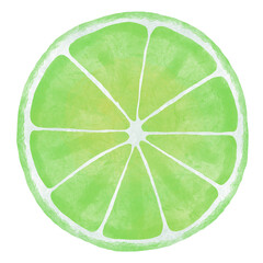 Watercolor Illustration of lime slice isolated on white background - hand drawn tropical fruit
