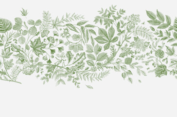 Green leaves. Seamless Horizontal border. Vector vintage illustration.