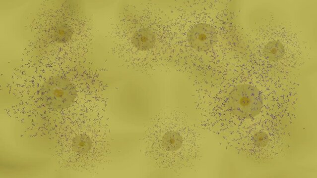 背景用素材-抗体を産生する形質細胞のイメージ