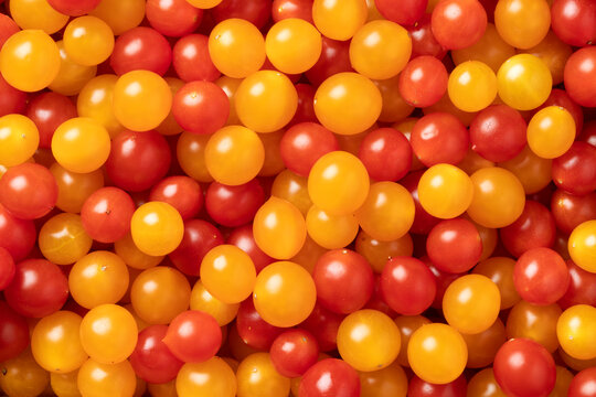 Red and yellow Tomberry tomatoes close up full frame as background