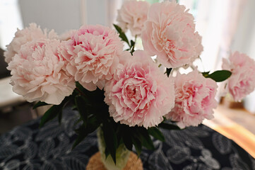 Bouquet of peony flowers