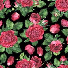 Seamless pattern with pink roses. Watercolor botanical illustration. Isolated on a black background. Hand drawn flower, leaves and petals. For the design of women's clothing, bed linen, fabrics