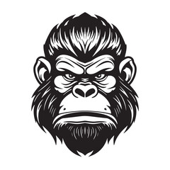 Vector drawing of a gorilla head on a white background