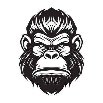 Vector drawing of a gorilla head on a white background