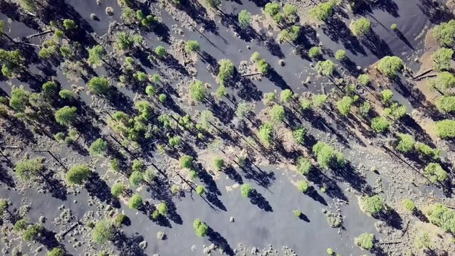 Drone video of the Sunset Crater Volcano 