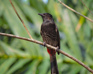 Birds are not afraid of heights because they trust their wings