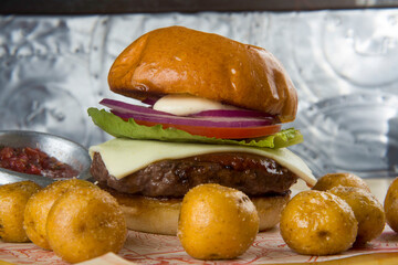 Burger hamburguesa papas 