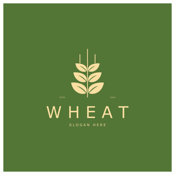 Agriculture Wheat logo template vector icon design