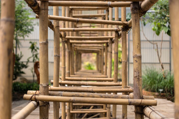 bamboo scaffolding 