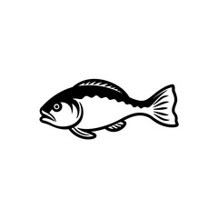 Fish Logo Illustration