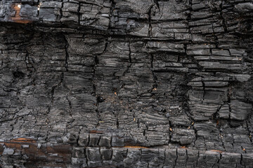 Verkohltes Holz
