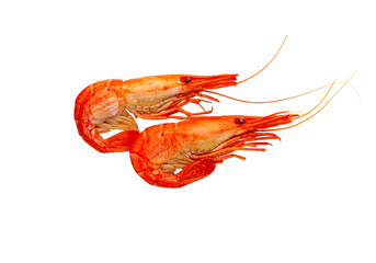 Cooked prawn or shrimp