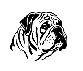 Vector isolated one single 
 English Bulldog dog head  black and white bw two colors silhouette. Template for laser engraving or stencil
