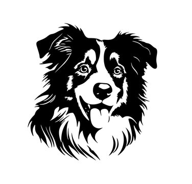 Vector isolated one single 
 Australian Shepherd dog head  black and white bw two colors silhouette. Template for laser engraving or stencil