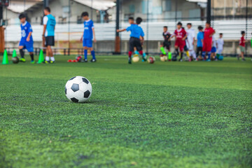 Obraz na płótnie Canvas Soccer ball tactics cone on a grass field with for training