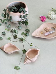 Shell shaped jesmonite pink terracotta trays