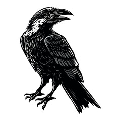 Cute raven on white background, hand drawn illustration