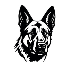 German Shepherd. Vector isolated portrait of a dog on a white background