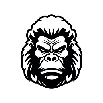 Gorilla head vector illustration, isolated image, on white background