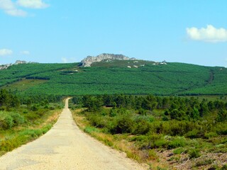 Fototapeta na wymiar Tranquil Path Through Rural Landscape in SIerra de la Culebra, Zamora