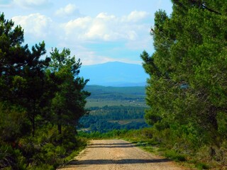 Tranquil Path Through Rural Landscape in SIerra de la Culebra, Zamora