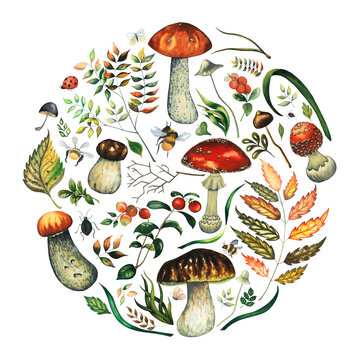 Watercolour round composition with wild forest mushrooms, insects, leaves, herbs. Greeting card template, banner, decoration with red fly agarics, porcini, red mushrooms, leaves, grass, toadstools